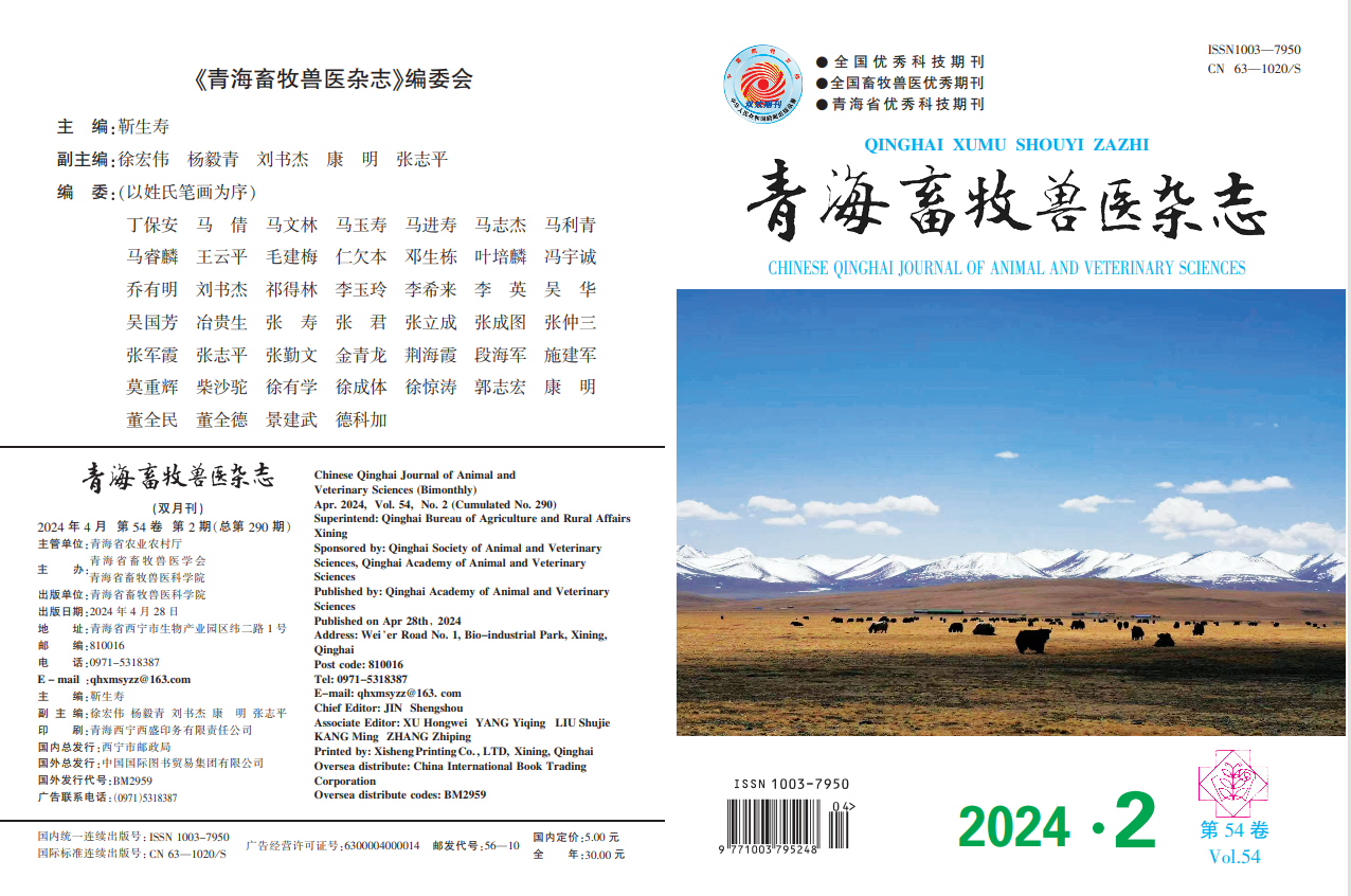 2024年第2期封面.png