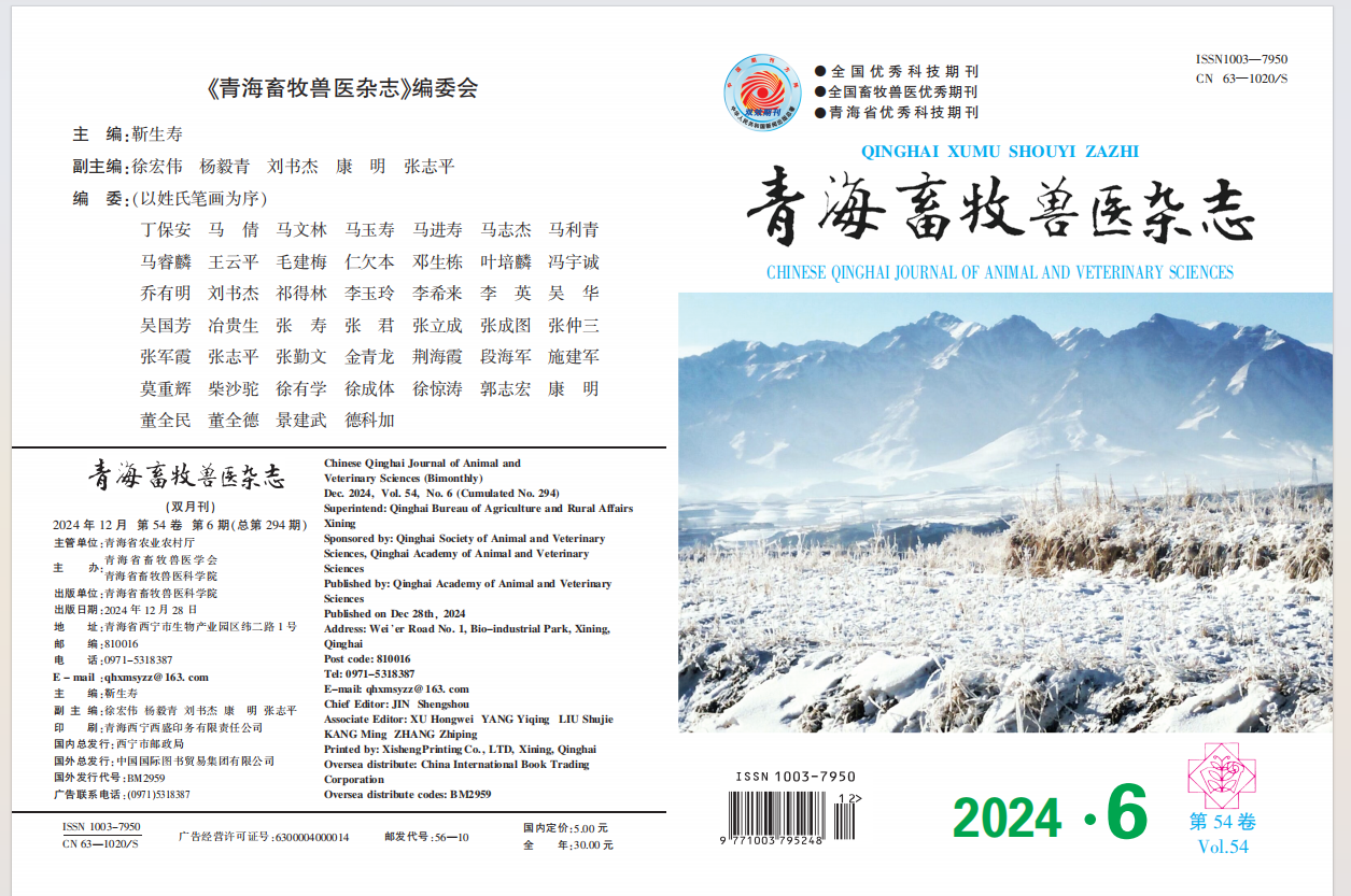 2024年第6期.png